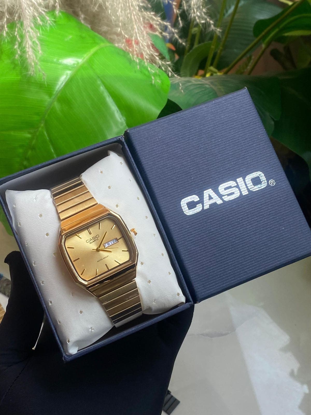 CASIO DAY & DATE